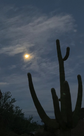 Sep 1 - Morning Super Moon